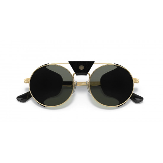 Persol PO2496SZ 114958