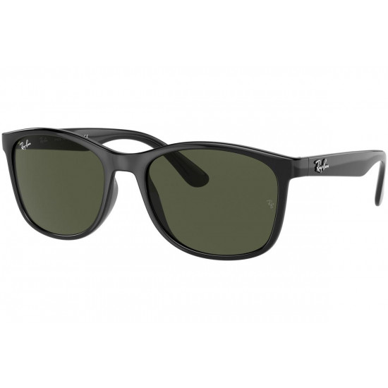Ray-Ban  RB4374 601/31