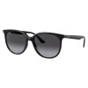 Ray-Ban RB4378 601/8G