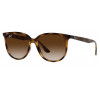 Ray-Ban RB4378 710/13