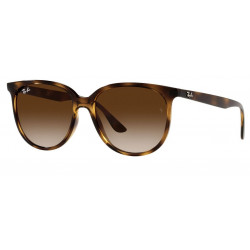 Ray-Ban RB4378 710/13