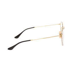 Ray-Ban ROUND METAL RX3447V 2991