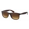 Ray-Ban Andy RB4202 607313