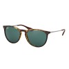 Ray-Ban Erika RB4171 71071