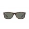 Ray-Ban 2132 902 Xlarge